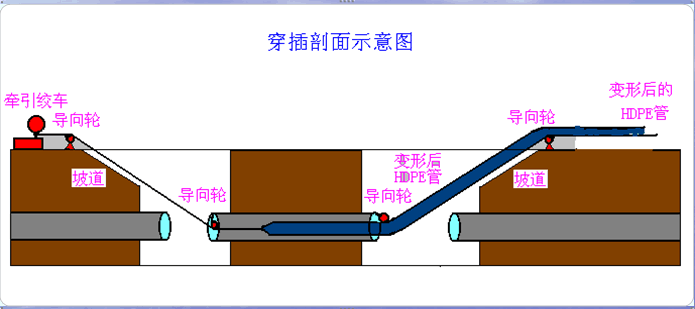 熊猫体育